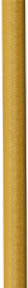 AYC